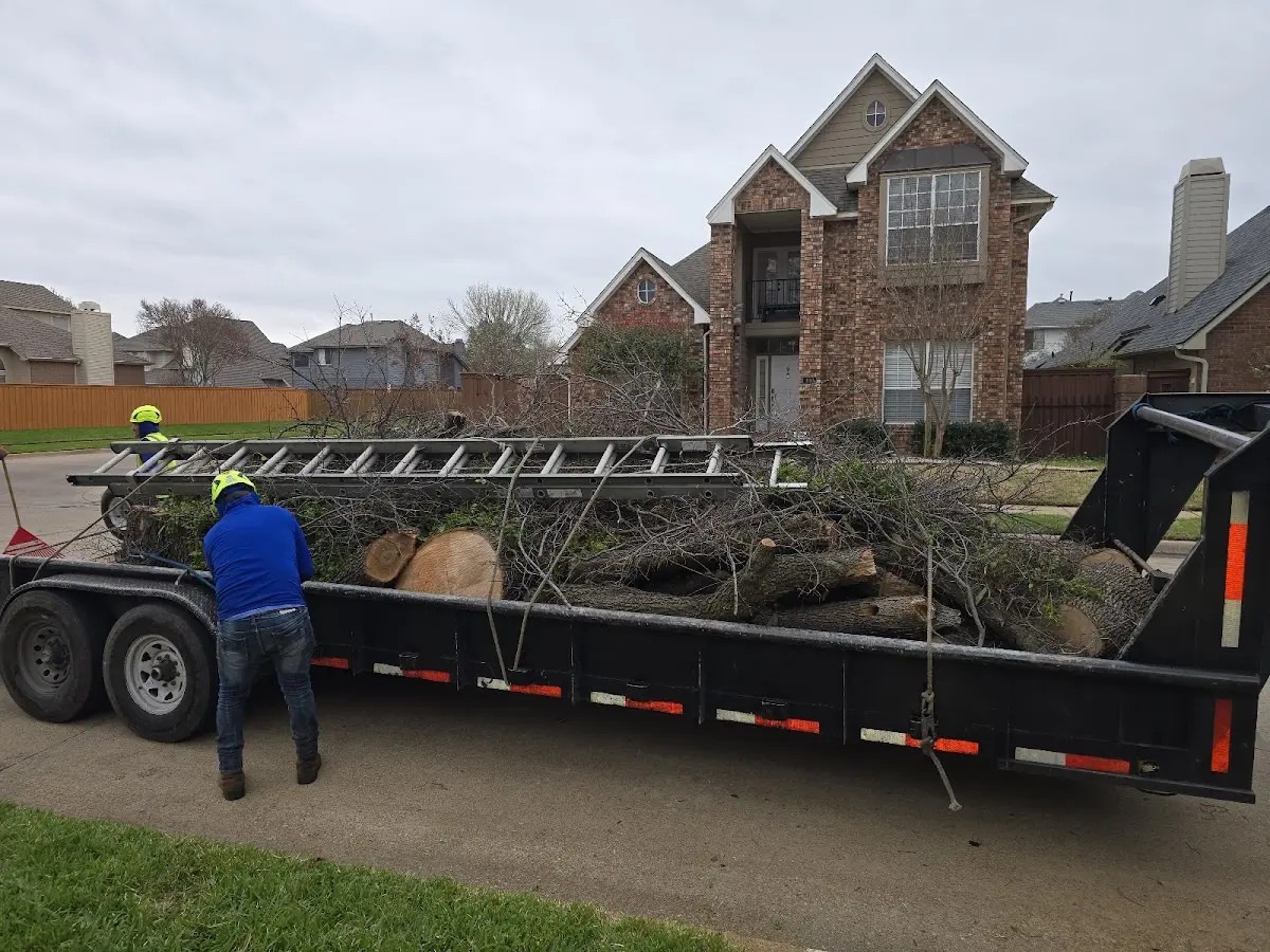 Expert Tree Fertilization with proper safety equipment in Roberta